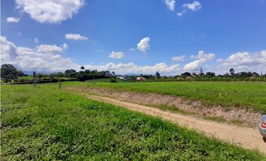Venta Lotes Sector La  Tebaida a 5 Minutos del Club Campestre