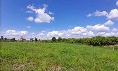 Venta Lotes Sector La  Tebaida a 5 Minutos del Club Campestre