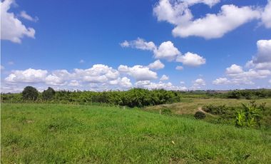 Venta Lotes Sector La  Tebaida a 5 Minutos del Club Campestre