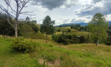 Lote con topografía mixta en venta en El Retiro Vereda Pantanillo