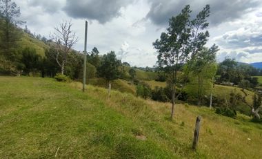 Lote con topografía mixta en venta en El Retiro Vereda Pantanillo