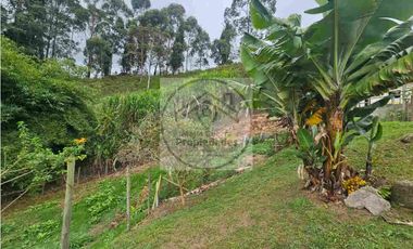 Venta De Finca En Guarne - Vereda La Clara Parte Baja