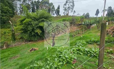 Venta De Finca En Guarne - Vereda La Clara Parte Baja