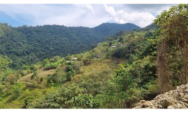 Se venden lotes desde 2.359 m2 parcelación abierta La Buitrera Palmira