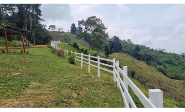 Se venden lotes desde 2.359 m2 parcelación abierta La Buitrera Palmira