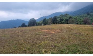 Se venden lotes desde 2.359 m2 parcelación abierta La Buitrera Palmira