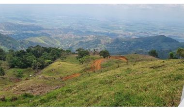 Se venden lotes desde 2.359 m2 parcelación abierta La Buitrera Palmira