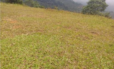 Se venden lotes desde 2.359 m2 parcelación abierta La Buitrera Palmira