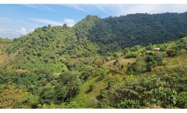 Se venden lotes desde 2.359 m2 parcelación abierta La Buitrera Palmira