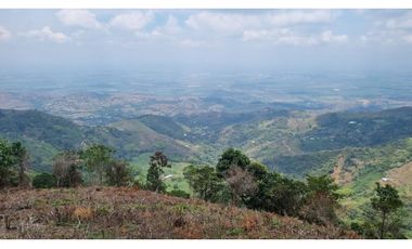 Se venden lotes desde 2.359 m2 parcelación abierta La Buitrera Palmira