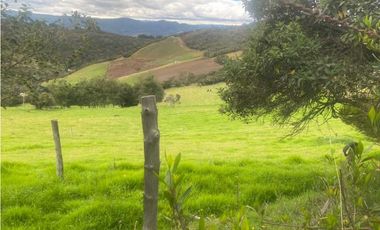 Finca campestre con vista a Guatavita