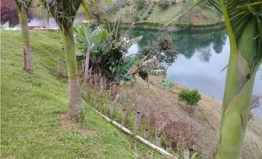 VENTA FINCA, EL PEÑOL, ANTIOQUIA