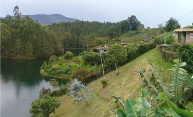 VENTA FINCA, EL PEÑOL, ANTIOQUIA