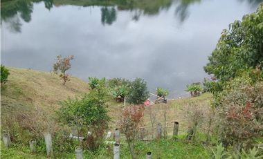 VENTA FINCA, EL PEÑOL, ANTIOQUIA