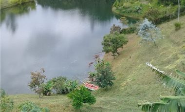 VENTA FINCA, EL PEÑOL, ANTIOQUIA