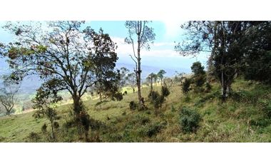 Vendo Finca San Raimundo