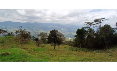 Vendo Finca San Raimundo
