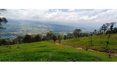 Vendo Finca San Raimundo