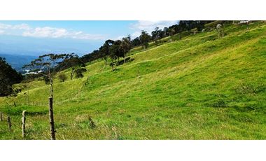Vendo Finca San Raimundo