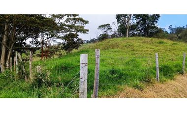 Vendo Finca San Raimundo