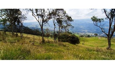 Vendo Finca San Raimundo