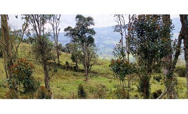Vendo Finca San Raimundo