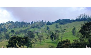 Vendo Finca San Raimundo