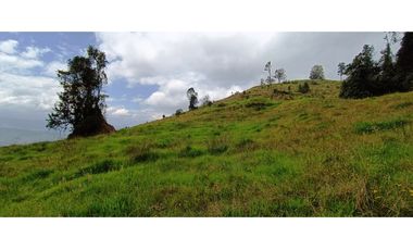 Vendo Finca San Raimundo
