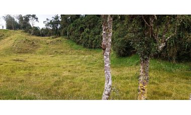 Vendo Finca San Raimundo