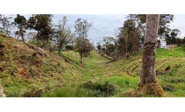 Vendo Finca San Raimundo