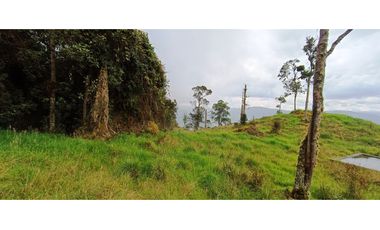 Vendo Finca San Raimundo