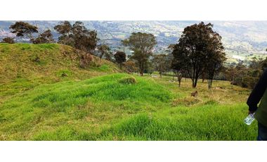 Vendo Finca San Raimundo