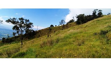 Vendo Finca San Raimundo