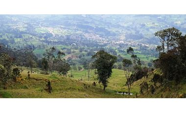 Vendo Finca San Raimundo