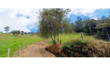 Vendo Finca San Raimundo