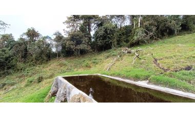Vendo Finca San Raimundo