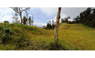 Vendo Finca San Raimundo