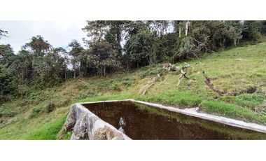 Vendo Finca San Raimundo