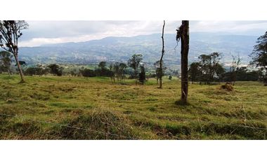 Vendo Finca San Raimundo