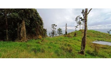 Vendo Finca San Raimundo