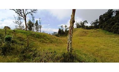 Vendo Finca San Raimundo