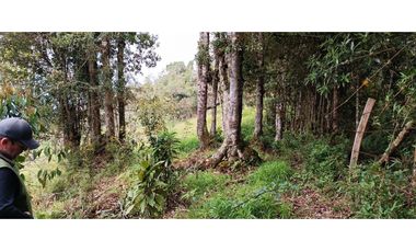 Vendo Finca San Raimundo