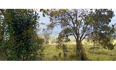 Vendo Finca San Raimundo
