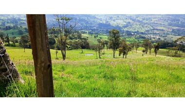 Vendo Finca San Raimundo