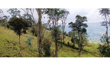 Vendo Finca San Raimundo