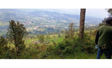 Vendo Finca San Raimundo