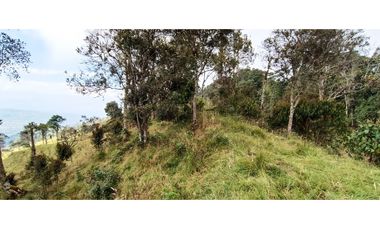 Vendo Finca San Raimundo