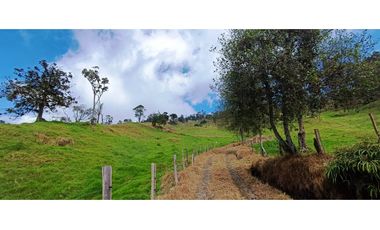 Vendo Finca San Raimundo