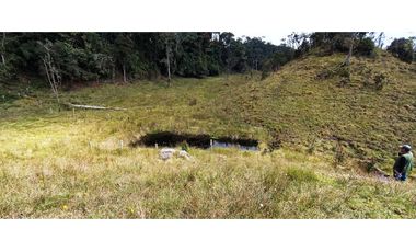 Vendo Finca San Raimundo