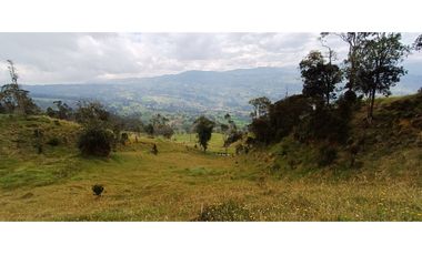 Vendo Finca San Raimundo